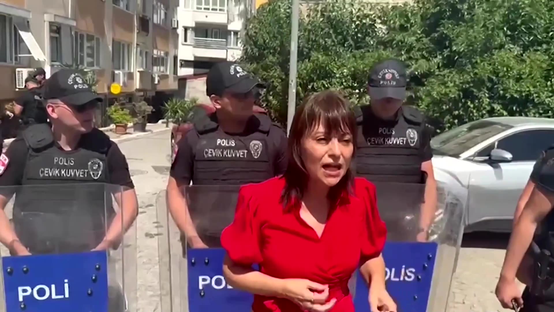 Turkish police detain dozes at banned Pride march, says lawmaker