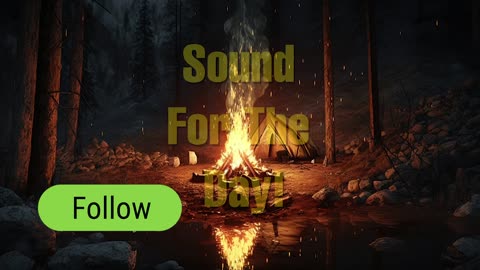 Crackling Campfire Sounds | Relaxing Fire Ambience