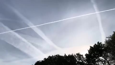 Katie Hopkins When you were little & drawing pictures of clouds, did you ever draw a fcking grid