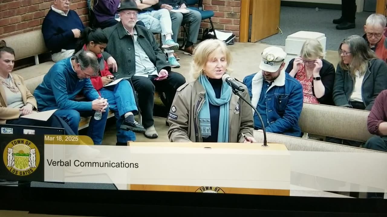 Silicon Valley, Los Gatos, Susan Burnett Is Disturbed By The Los Gatos Haters
