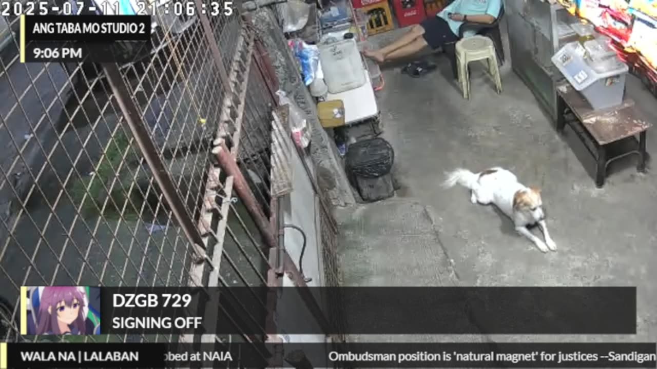 Mitsubishi Xpander 2019 Live