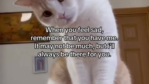Don't be sad, evertthing gonna be ok