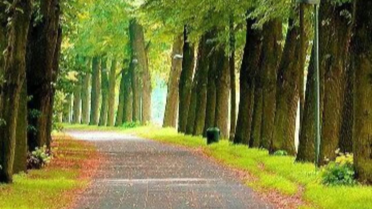 You Are the Light #1 V2