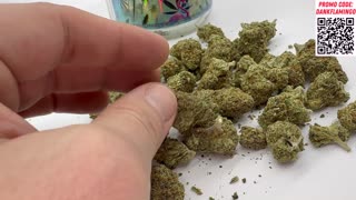 Dank Guava from THCA Small Buds! Dankin with the Flamingos Review!!