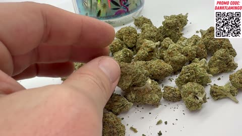 Dank Guava from THCA Small Buds! Dankin with the Flamingos Review!!