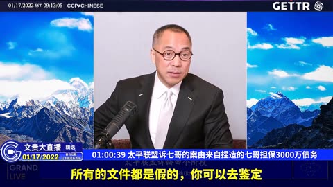 （十）太平联盟诉七哥的案由来自捏造的七哥担保3000万债务【2022年01月17日文贵大直播精选】