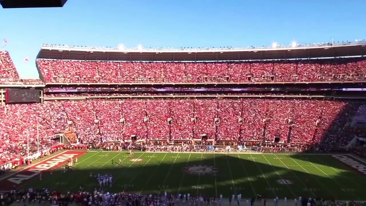 WE'RE FINALLY BACK, BABY!!!😎🇺🇸🏈🥳🥳🥳