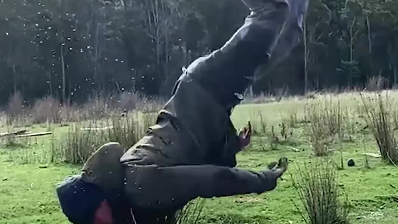 Real Life vs AI.
