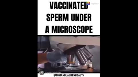 Vaccinated Sperm Under a Microscope 🔬🦠