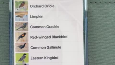 Nancy's Bird ID App