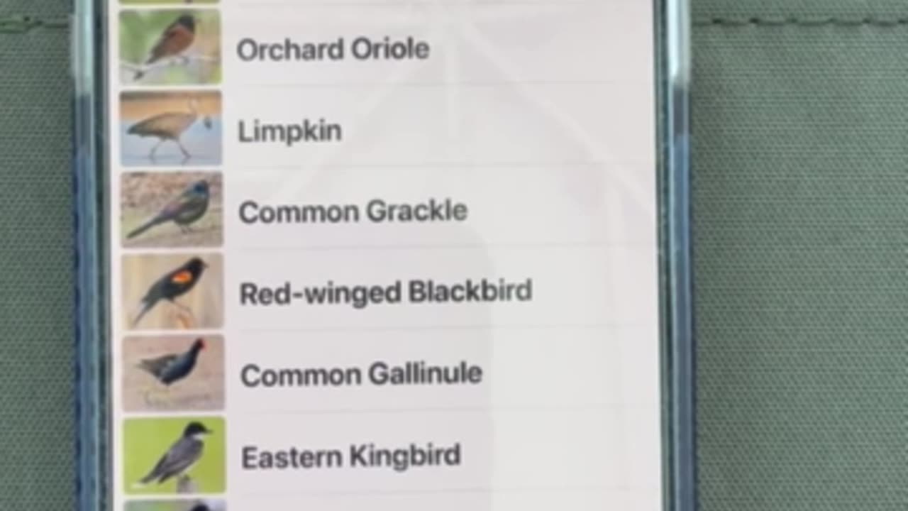 Nancy's Bird ID App