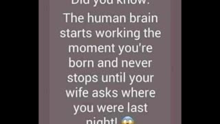 FUNNY Laugh Out Loud Hilarious Memes Jokes Cartoons #384