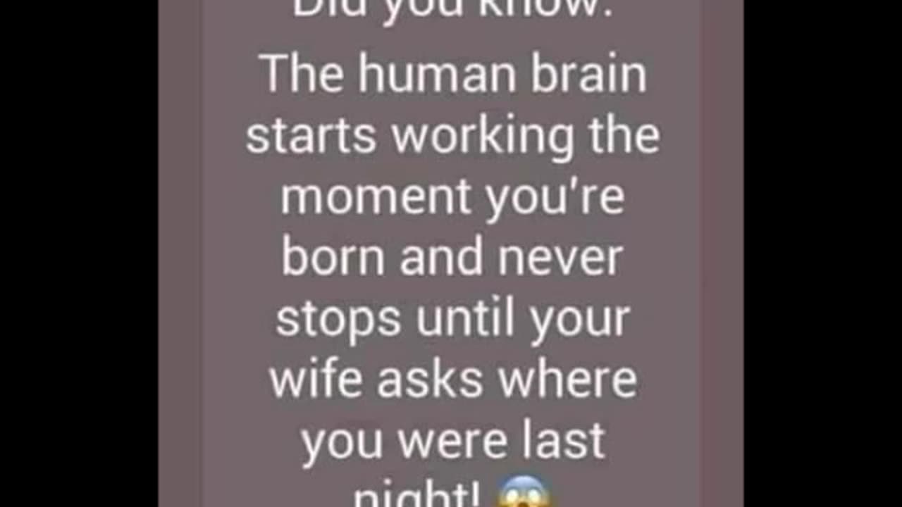 FUNNY Laugh Out Loud Hilarious Memes Jokes Cartoons #384
