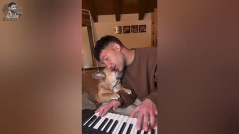 The beloved dog who was sensitive to his master's singing