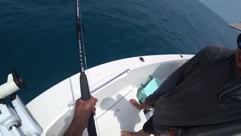 pesca a pesci grossi o big fish, 1shark o grande squalo martello_part17