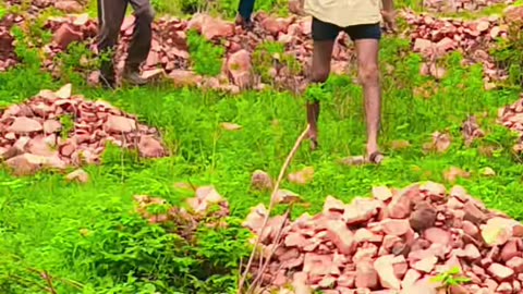 Village friends having fun in the jungle