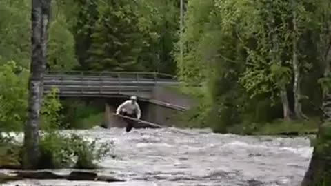 Log Surfing 🏄‍♂️.... but How ?