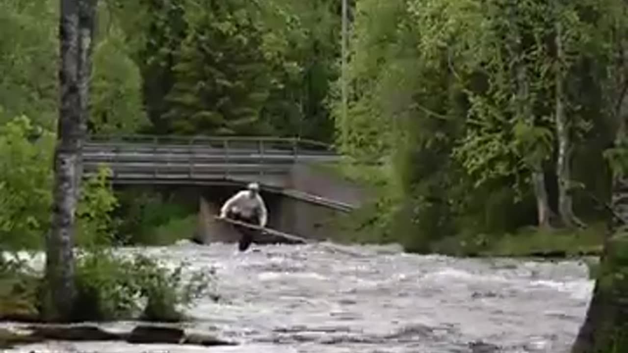 Log Surfing 🏄‍♂️.... but How ?