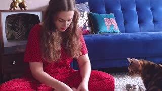 DIY for cats, how to keep a cat busy