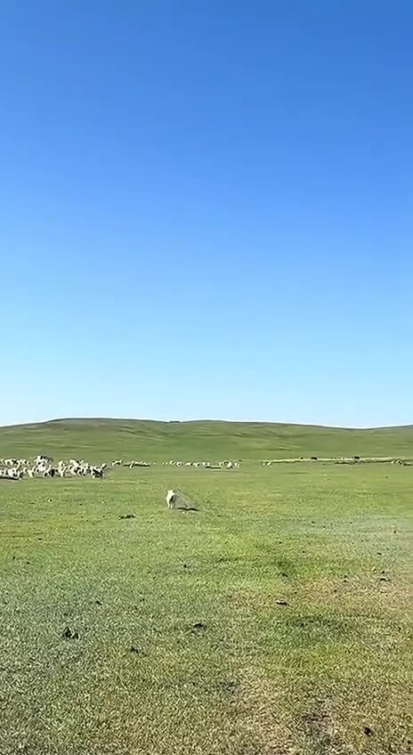 Kids never wander off away from your parents 😊