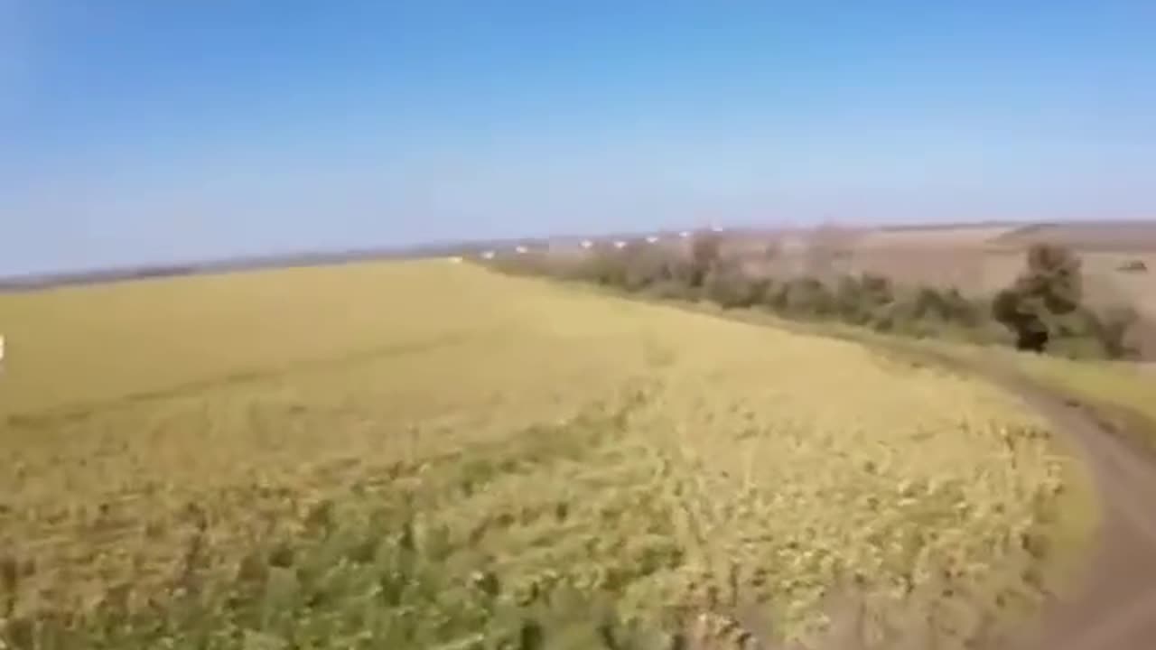 Drone Wats