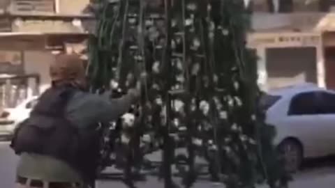 HTS Militants Destroy Christmas Trees in Aleppo Amid Claims of “Reform”