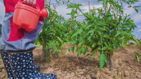 🌱 Container Gardening Watering Challenges?