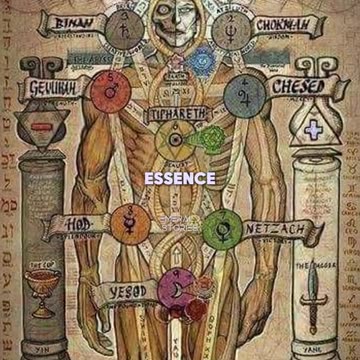 Petrified Giants Proof?