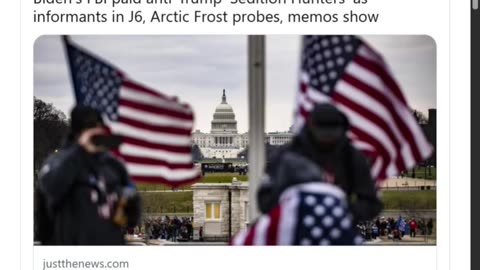 Online Sleuths Who Hunted J6ers Were Paid FBI Informants, New Docs Reveal