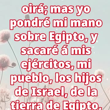 "El Corazón Endurecido de Faraón y el Juicio de Dios sobre Egipto" Exodus 7:3,4 #shorts #ytshorts