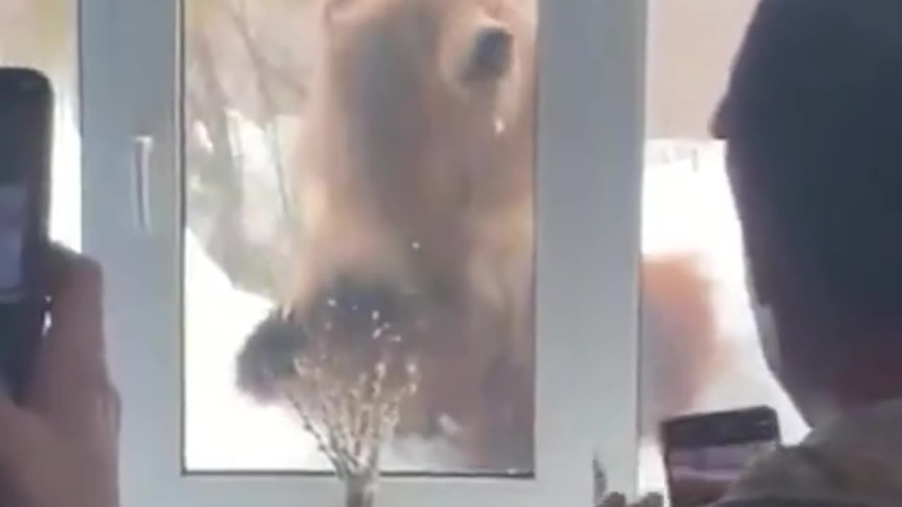 Knock, knock!