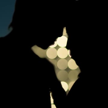 Silhouetted Couple Under City Lights
