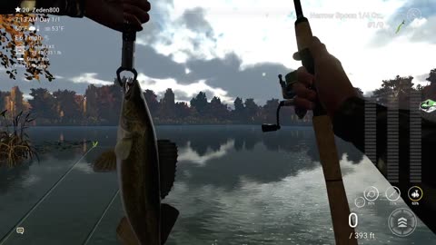 “Emerald Lake Walleye Challenge ⚡ | Green Narrow Spoon Reward Test”