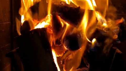 Daily Horoscope | Aries 🌟