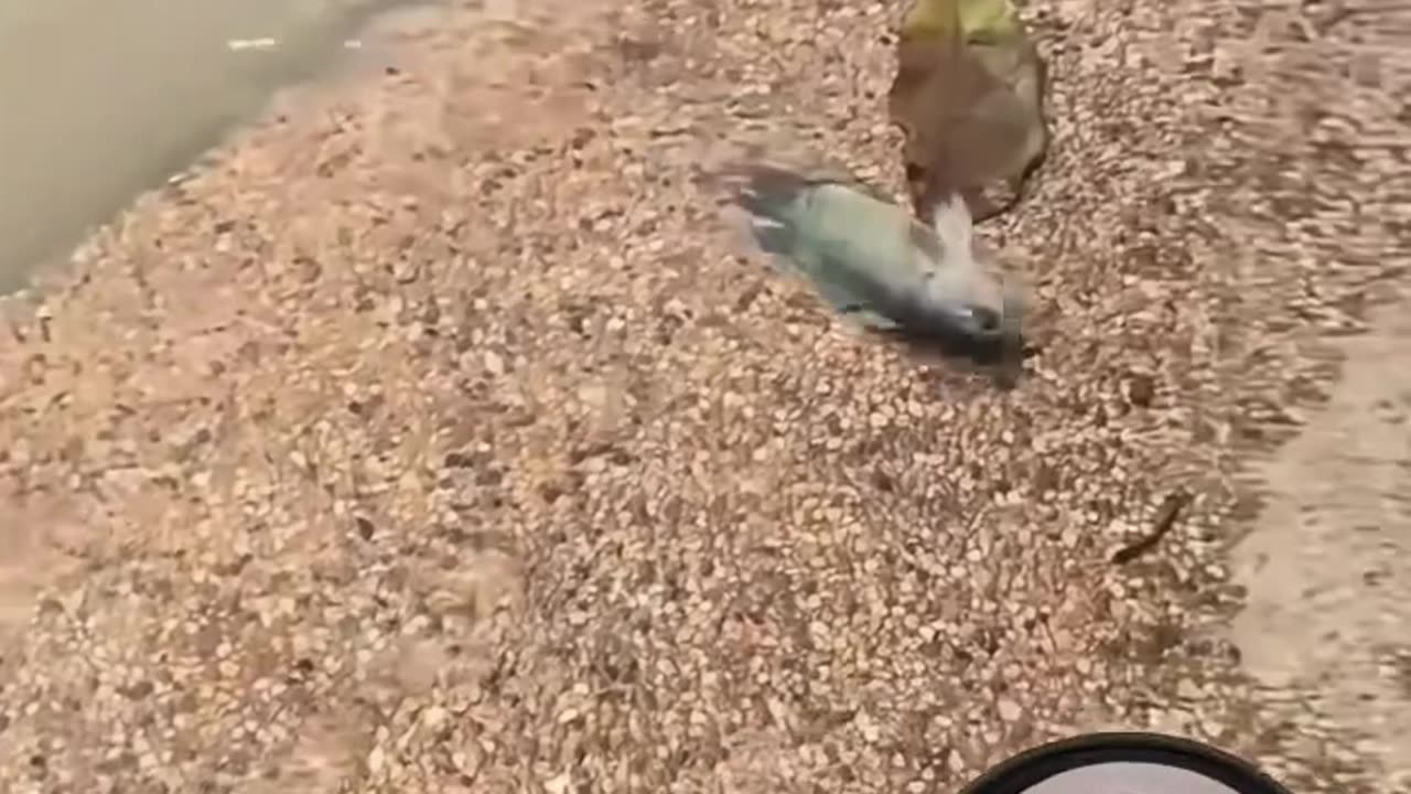 Content 2