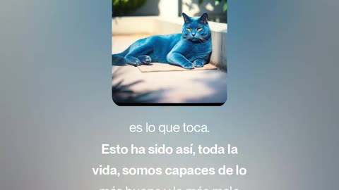 Luces y Sombras
