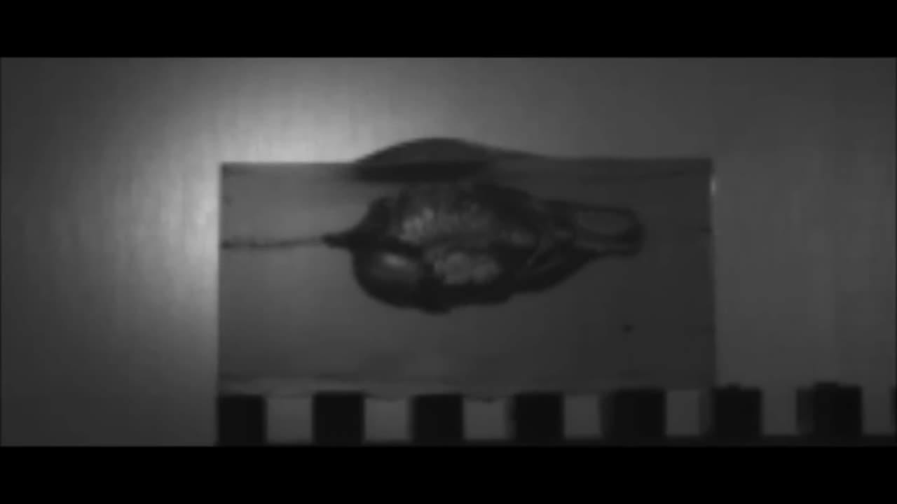 SLOW MOTION 5.7x28mm FN SS-197 impacting ballistic gelatin