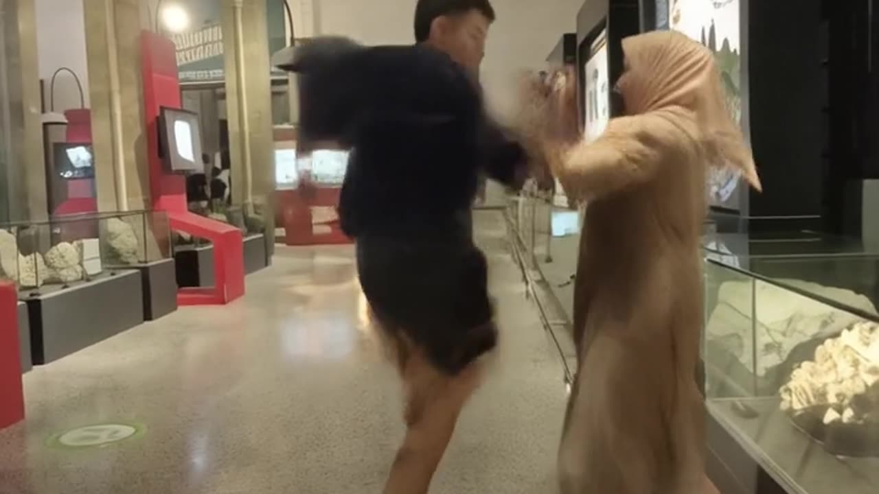 video viral