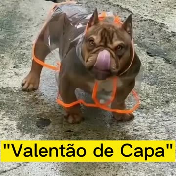 "Tough Guy Rainproof (Almost!)"