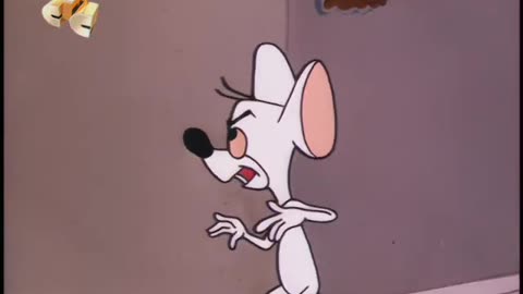 Woody Woodpecker and Friends - 1972x09 - Show Biz Beagle