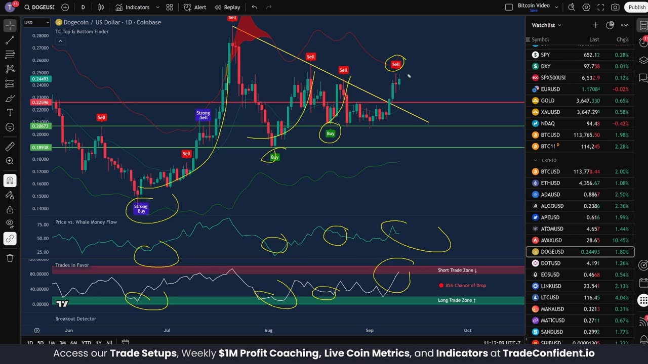The Next Dogecoin Entry Could be HUGE!