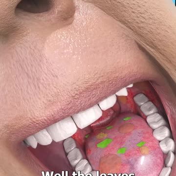 What_Happens_When_You_Eat_Poison_Ivy_