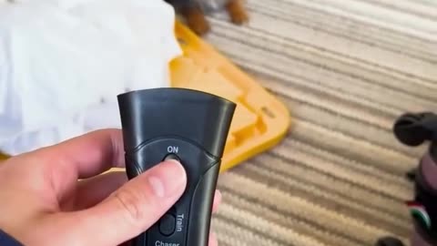 Say goodbye to unwanted barking!