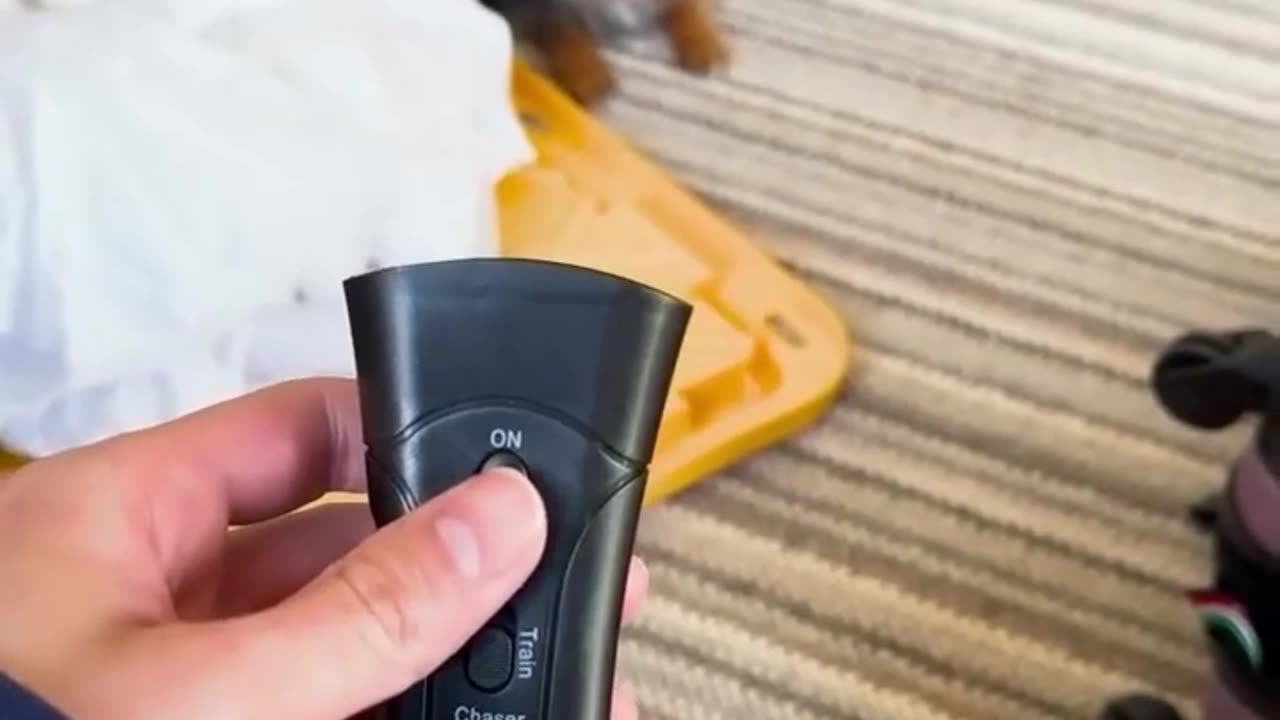 Say goodbye to unwanted barking!