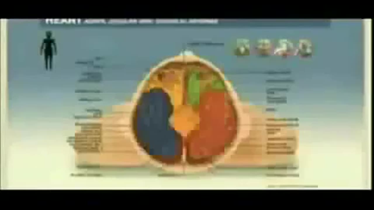 Schools Are Prisons & Anti-White Jew-BrainRot Centers