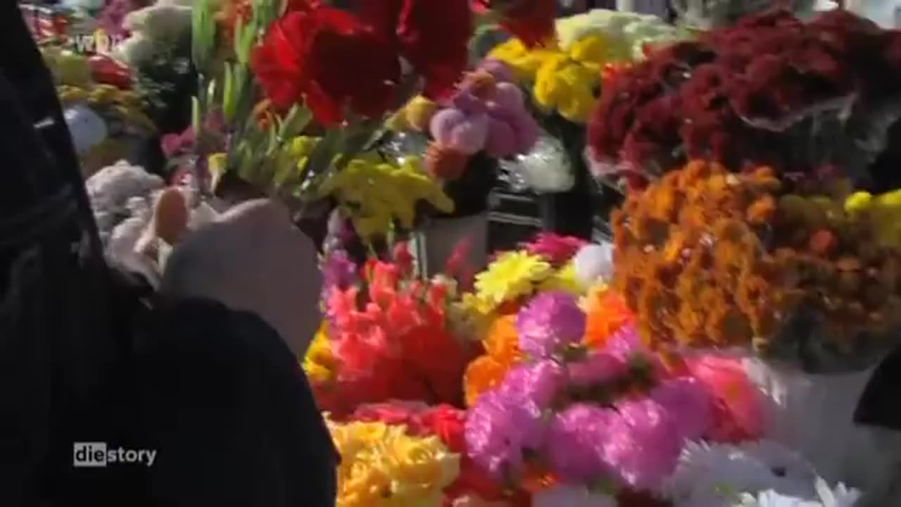 🎬 Ausgeschlachtet 💀 - Wenn Körperteile zu Markenartikel werden.