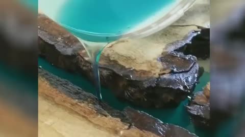 satisfying video