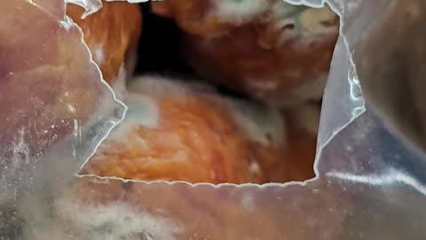 Spleśniała kiełbasa w sieci sklepów Polo Market [Rumble short]