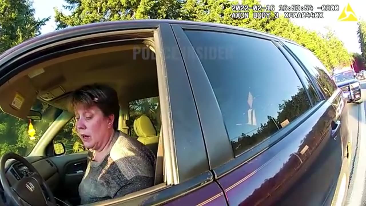 Karen Meets Karma After Fleeing Traffic Stop