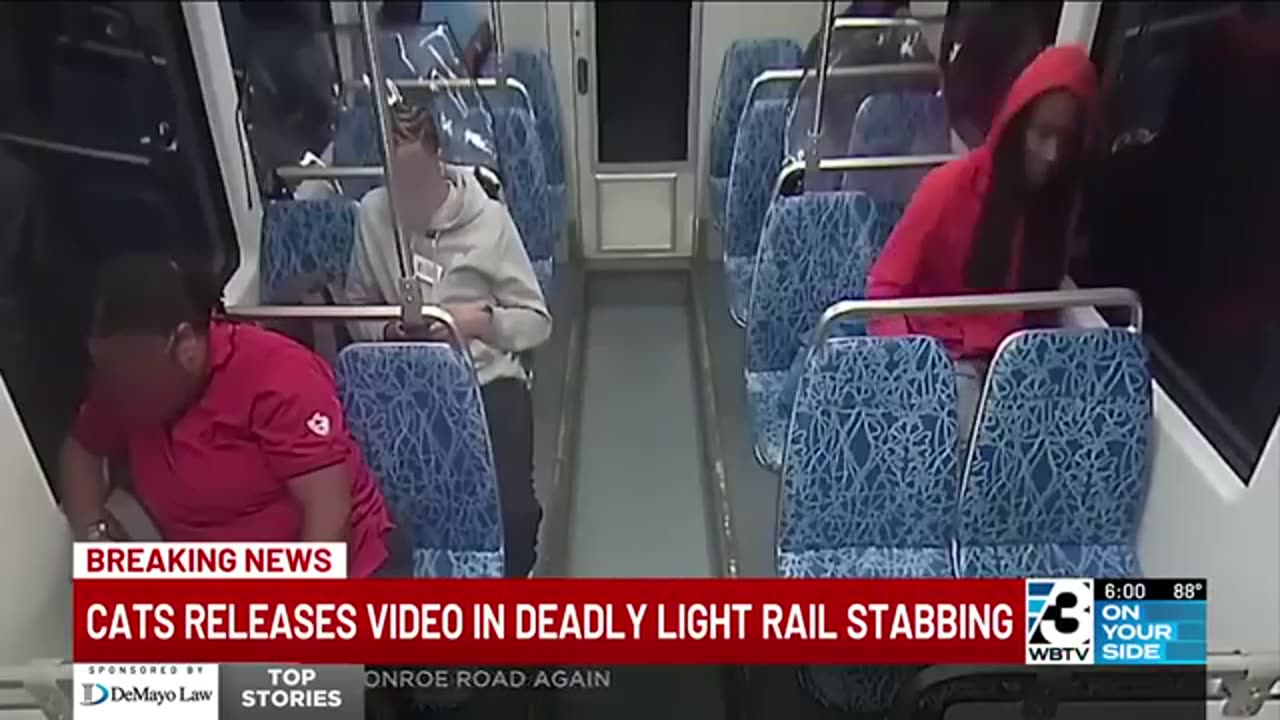 Light rail stabbing: